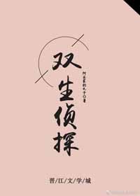 ˫����̽
